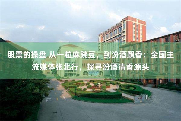 股票的操盘 从一粒麻豌豆，到汾酒飘香：全国主流媒体张北行，探寻汾酒清香源头