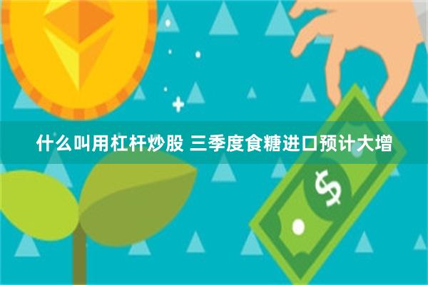 什么叫用杠杆炒股 三季度食糖进口预计大增