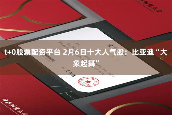 t+0股票配资平台 2月6日十大人气股：比亚迪“大象起舞”