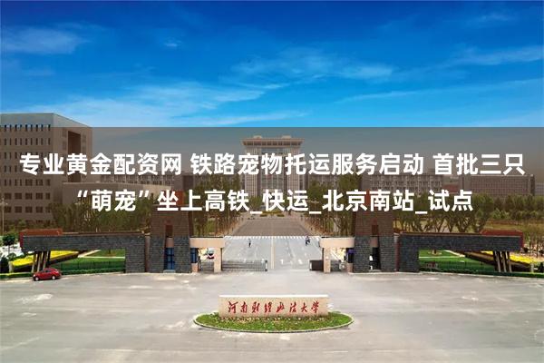 专业黄金配资网 铁路宠物托运服务启动 首批三只“萌宠”坐上高铁_快运_北京南站_试点