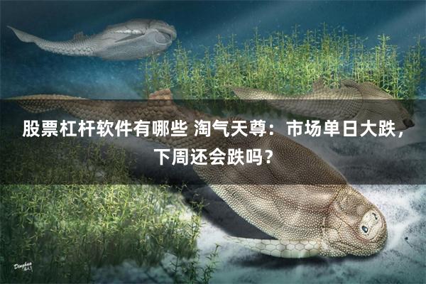 股票杠杆软件有哪些 淘气天尊：市场单日大跌，下周还会跌吗？