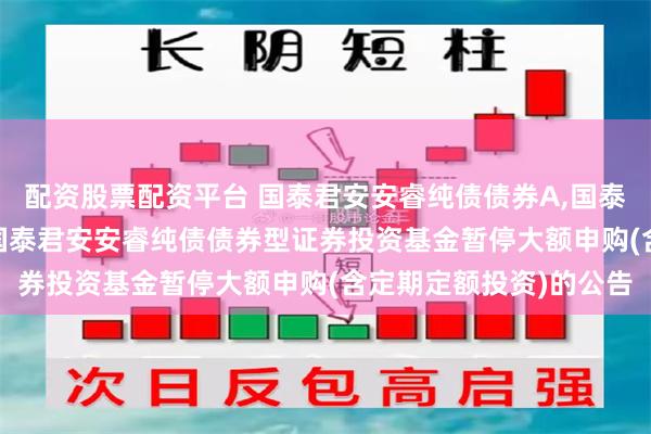 配资股票配资平台 国泰君安安睿纯债债券A,国泰君安安睿纯债债券C: 国泰君安安睿纯债债券型证券投资基金暂停大额申购(含定期定额投资)的公告