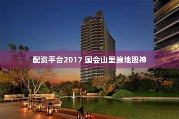 配资平台2017 国会山里遍地股神