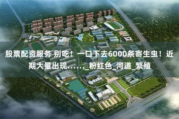 股票配资服务 别吃！一口下去6000条寄生虫！近期大量出现……_粉红色_河道_繁殖