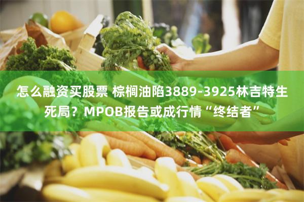 怎么融资买股票 棕榈油陷3889-3925林吉特生死局？MPOB报告或成行情“终结者”