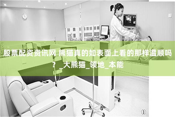 股票配资资讯网 熊猫真的如表面上看的那样温顺吗？_大熊猫_领地_本能