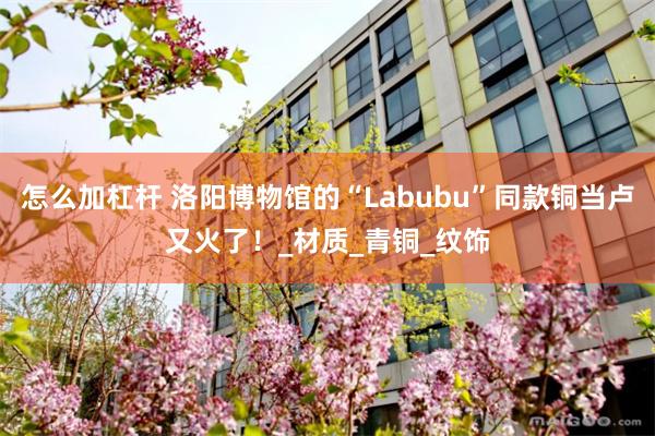 怎么加杠杆 洛阳博物馆的“Labubu”同款铜当卢又火了！_材质_青铜_纹饰