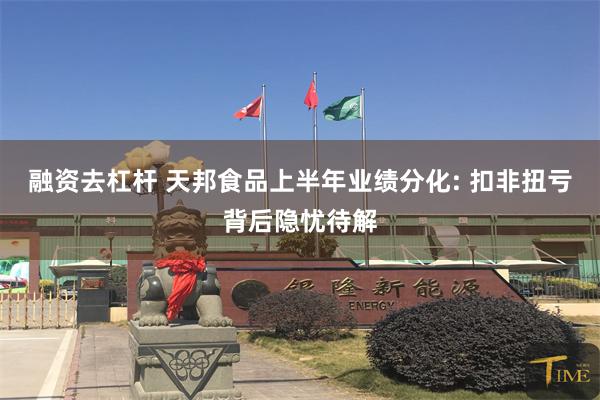 融资去杠杆 天邦食品上半年业绩分化: 扣非扭亏背后隐忧待解