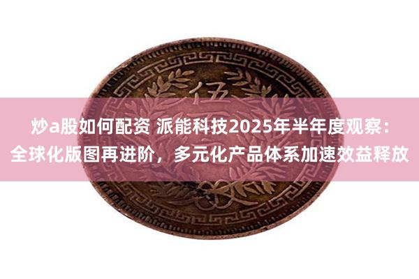 炒a股如何配资 派能科技2025年半年度观察：全球化版图再进阶，多元化产品体系加速效益释放