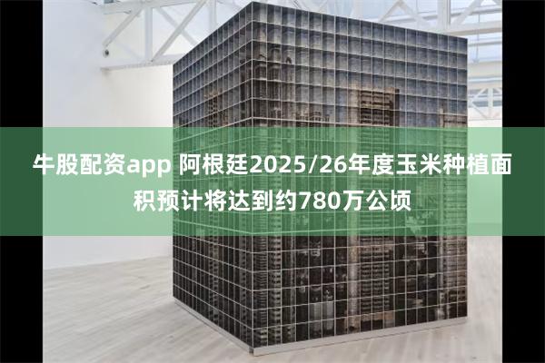 牛股配资app 阿根廷2025/26年度玉米种植面积预计将达到约780万公顷